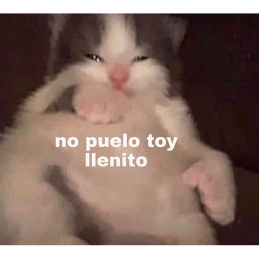 Gatitos chistosos  7