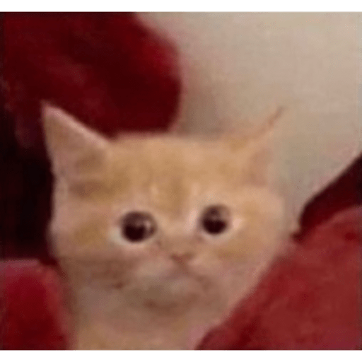 Memes #2 xd 19