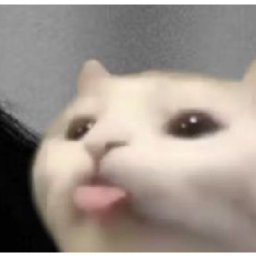 Shitpost🔥🐧 5