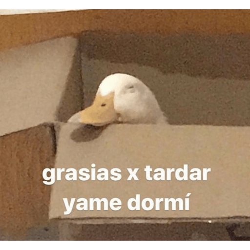 Gatitos chistosos  4