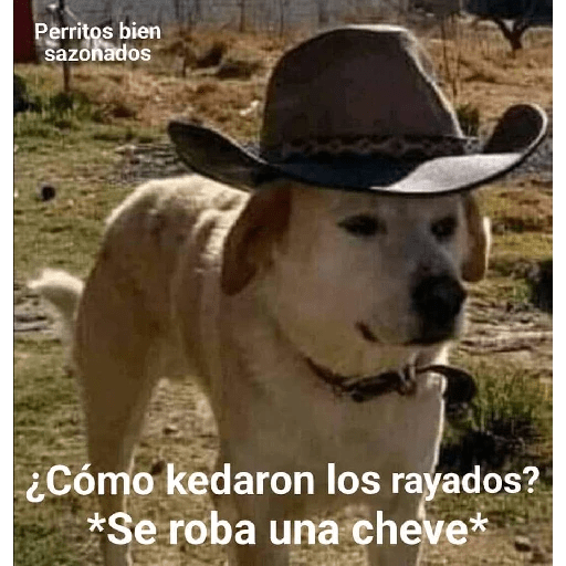 Memes graciosos 2023 18