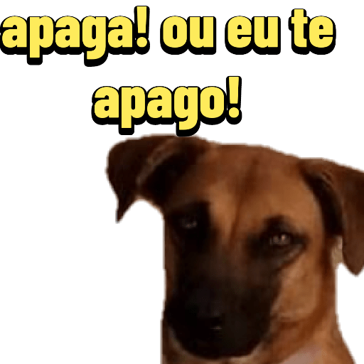 Novo 3