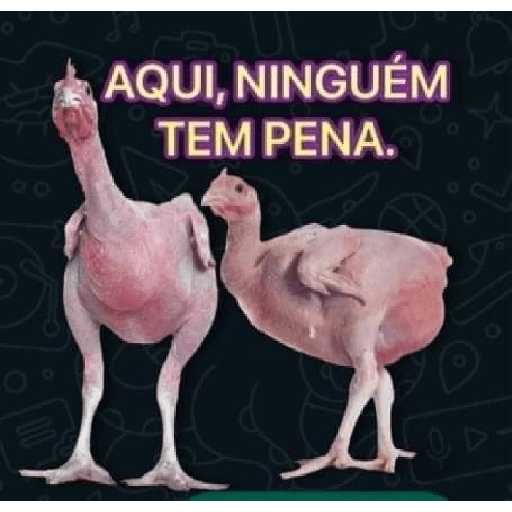 #memes 15