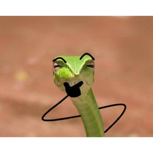 Emotional snake 11