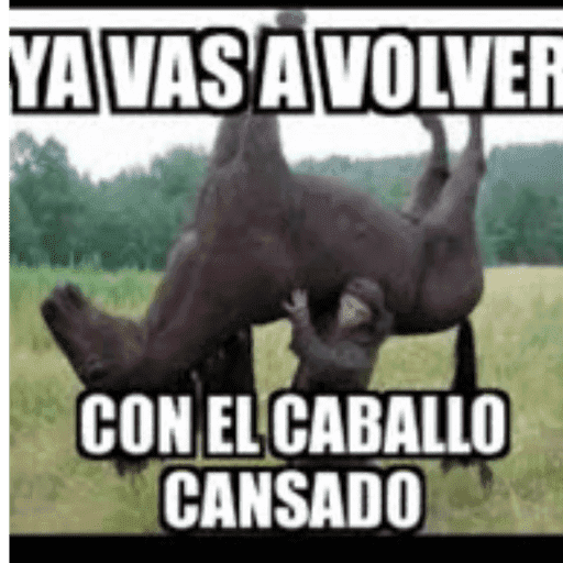 Bola de Nacos 23