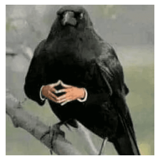 Random cursed funny shitpost 4