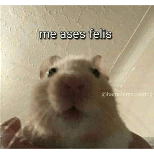 Memes2.0 18