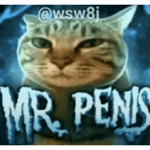 Random shit 8
