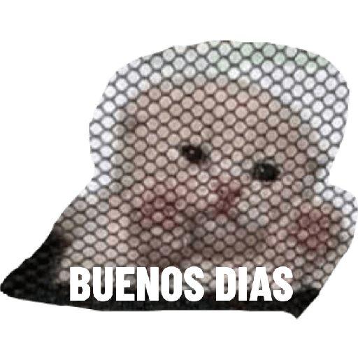 Enojo 10