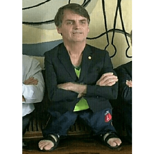 Bolsonaro meme 6