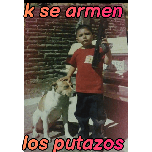 Sibietocos 24