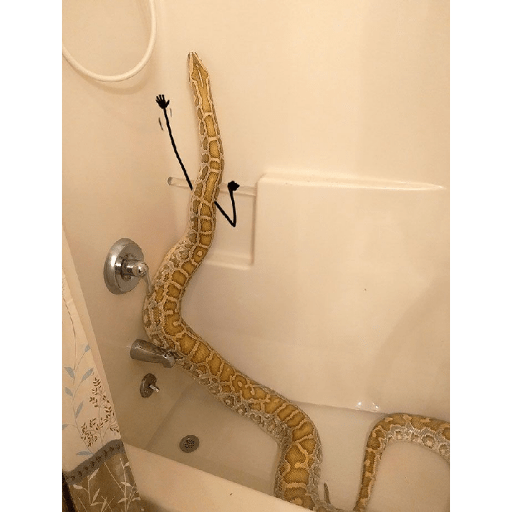 Emotional snake 7