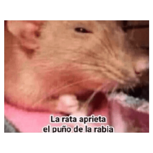 Random cursed funny shitpost 5
