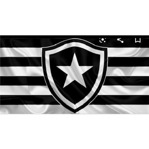 Pacote do botafogo 24