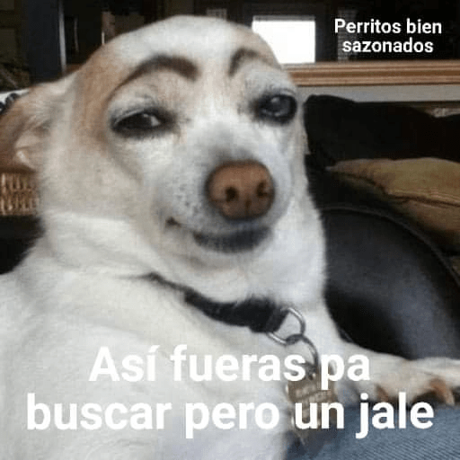 Memes graciosos 2023 17