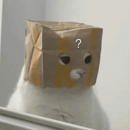 Cats Cute 🐱🥰 30