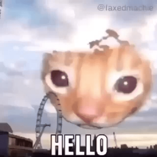 Comida gato 3 16