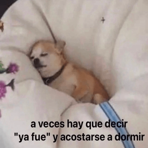 🐕•🐾Perritos🐾•🐕 2