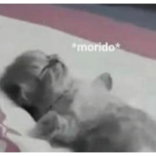 Memes #2 xd 20