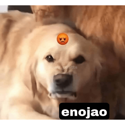 Gatitos chistosos  2