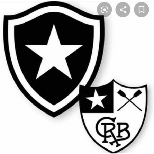 Pacote do botafogo 25