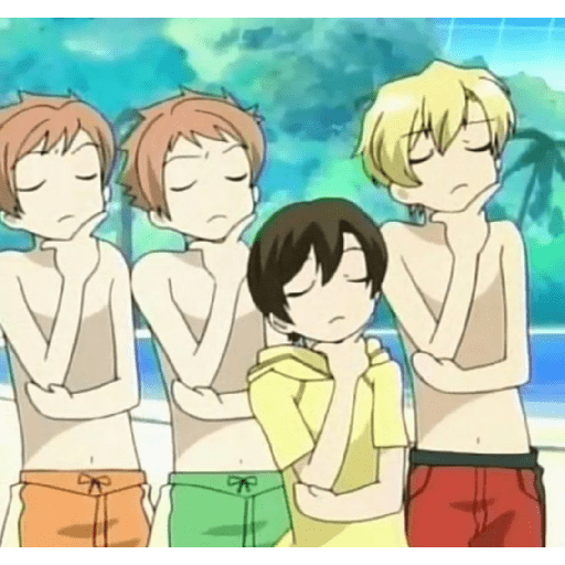 Ouran high School host club 11