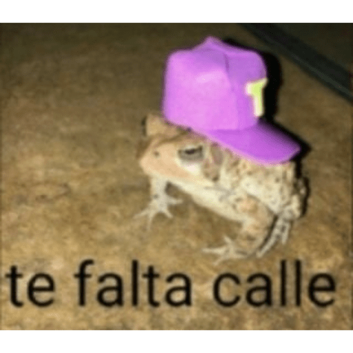 Gatitos chistosos  5