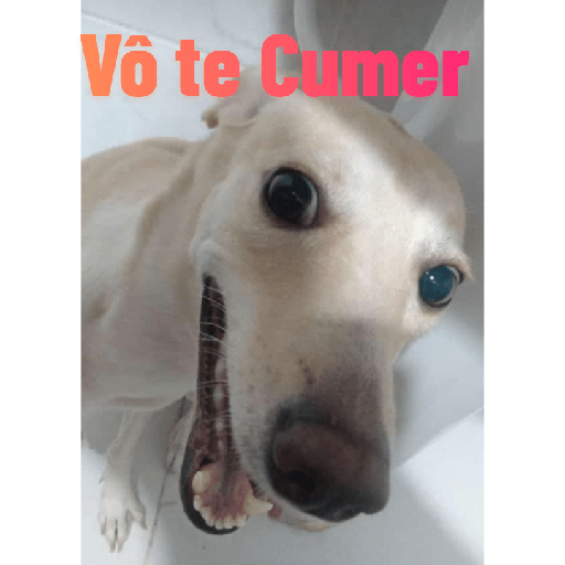 Aleatório 2