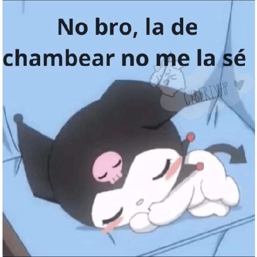 Memes graciosos 2023 5