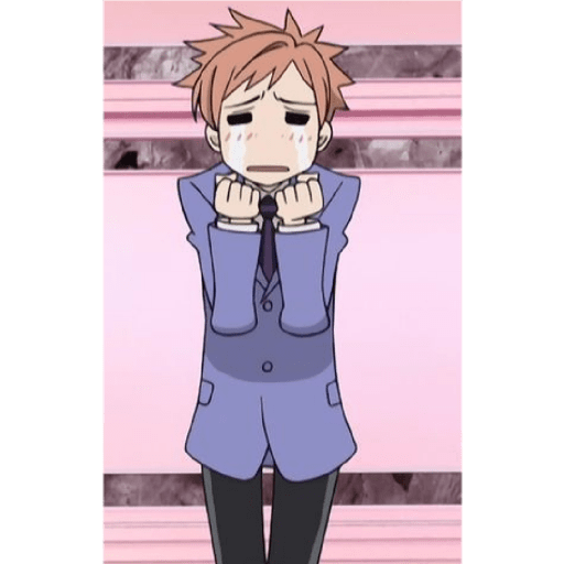 Ouran high School host club 9