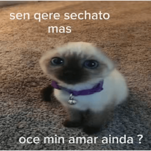 Kiko 28