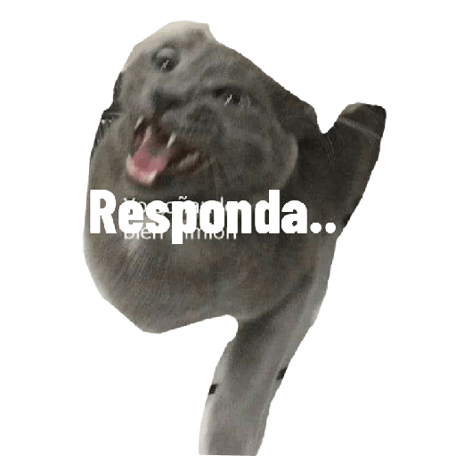 Enojo 8