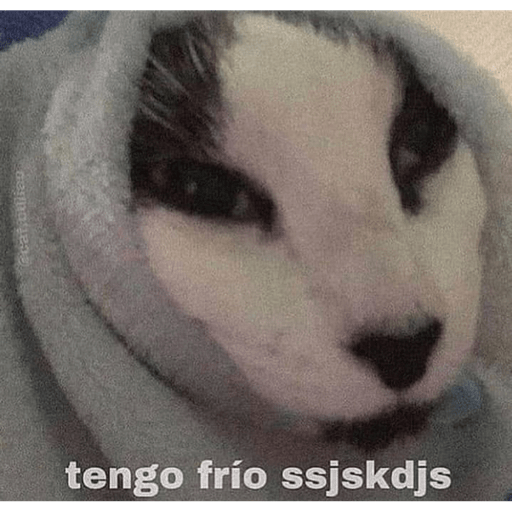 Gatitos chistosos  24
