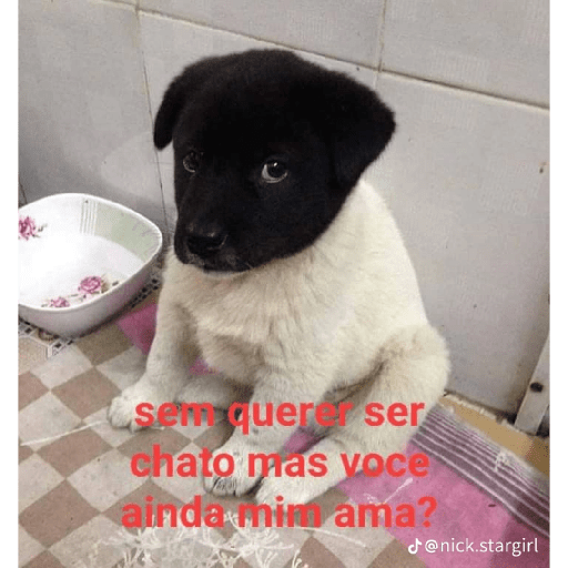 Kiko 1