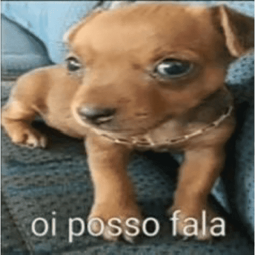 Oi posso fala 14