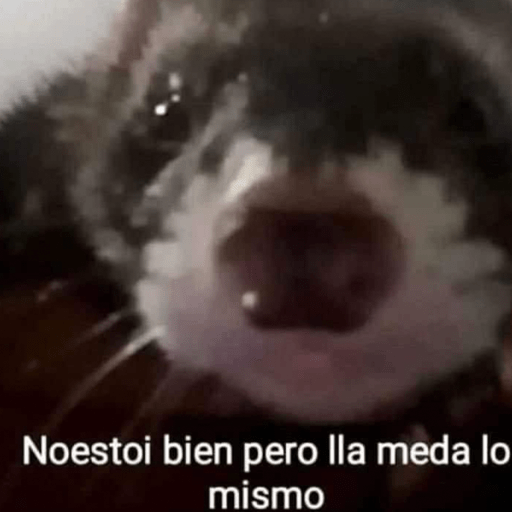 Randoms sin contexto    😔🫸 8