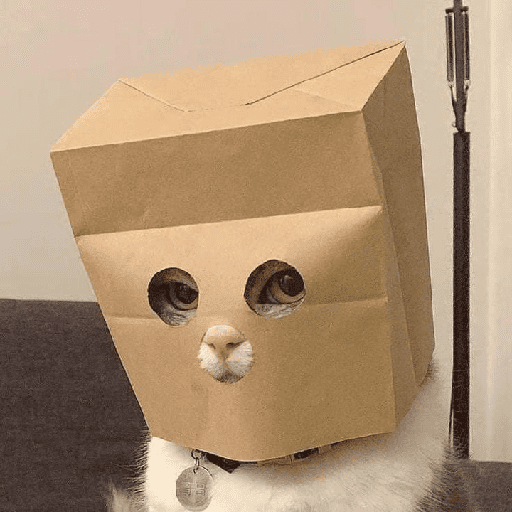 Cats Cute 🐱🥰 27