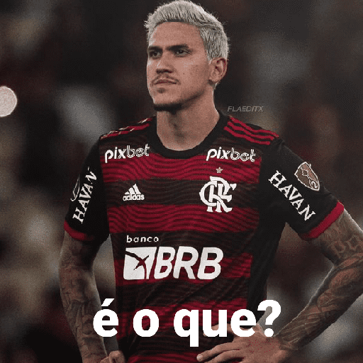 Pedro Guilherme/Flamengo  9