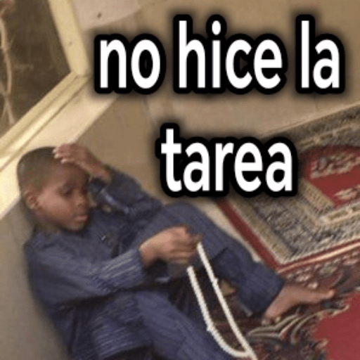 Lunes 8