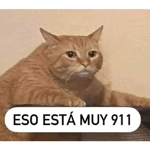 Memes graciosos 2023 25