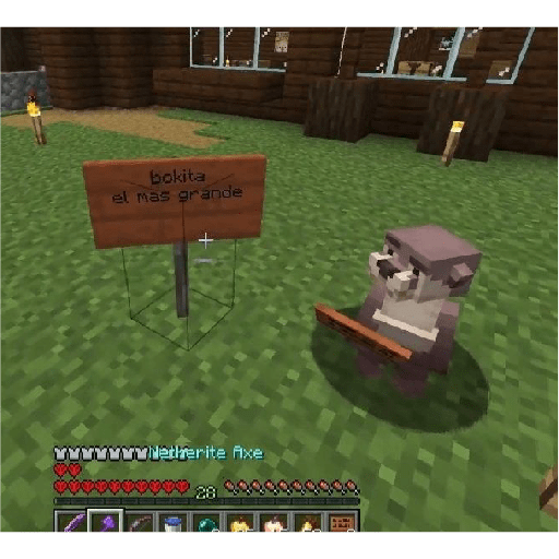 Minecraft  5