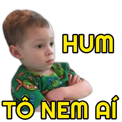 Memes dos memes 1