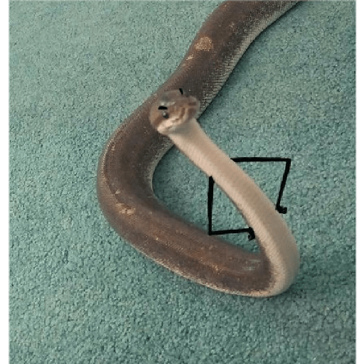 Emotional snake 1