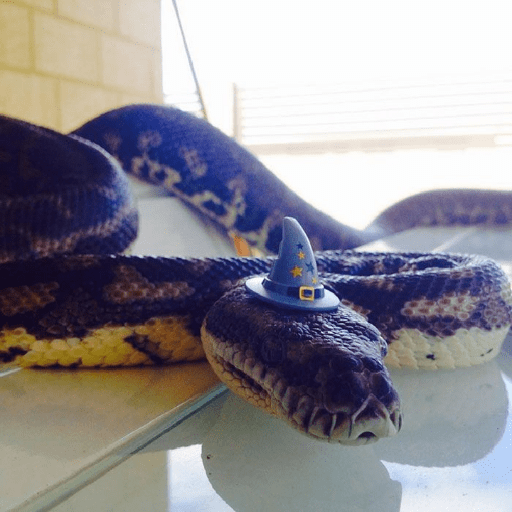 Emotional snake 15