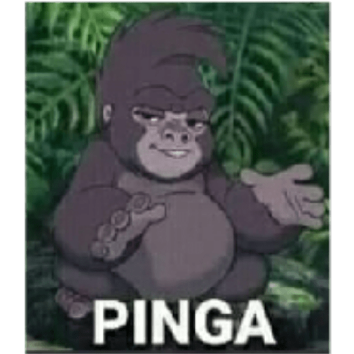 Memes que rove en intsgam 13
