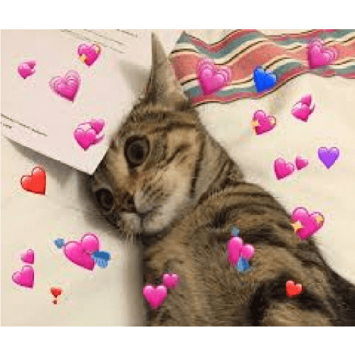 Animales corazones 10