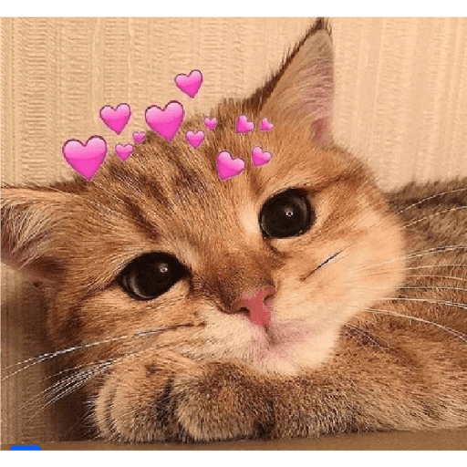 Animales corazones 1