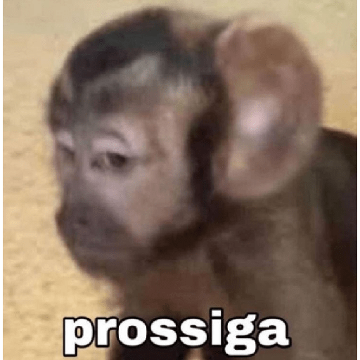 ALEATÓRIOS  20