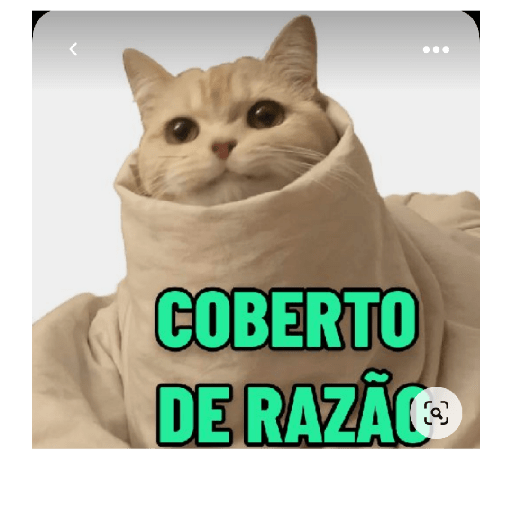 FRIO 2
