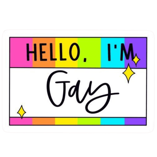 Pride LGTBIQ+ 🏳️‍🌈 1